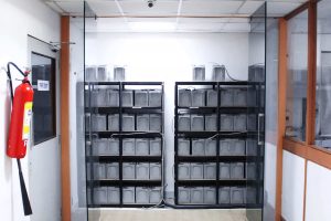 Emerson based UPS systems